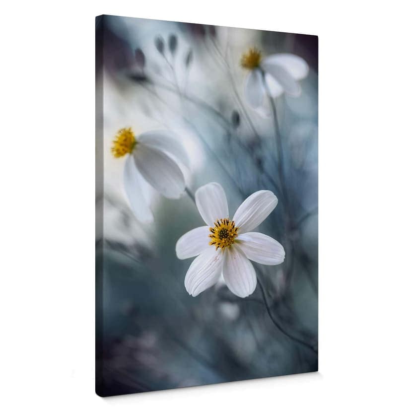 Stampa su tela Disher - Fiore bianco