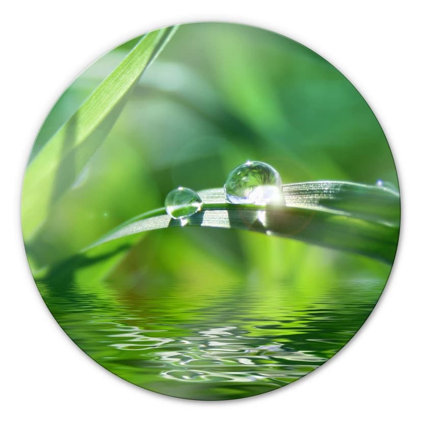 Stampa su vetro - Natura 6 - tondo