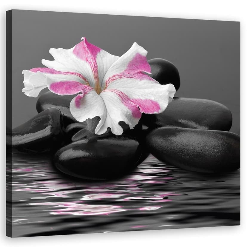 Stampe su tela, pietre fiore rosa Zen
