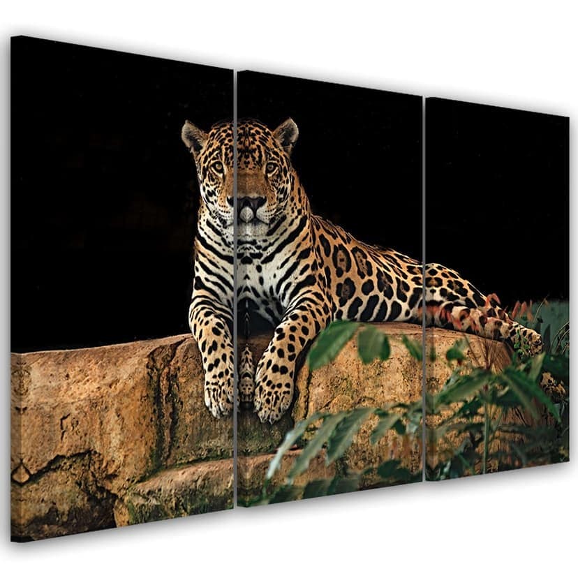 Stampa su tela 3 pezzi Leopard Panther Cat Animal