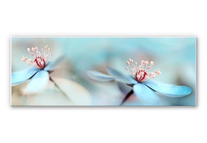 Stampa su Forex Westum - Fiori delicati