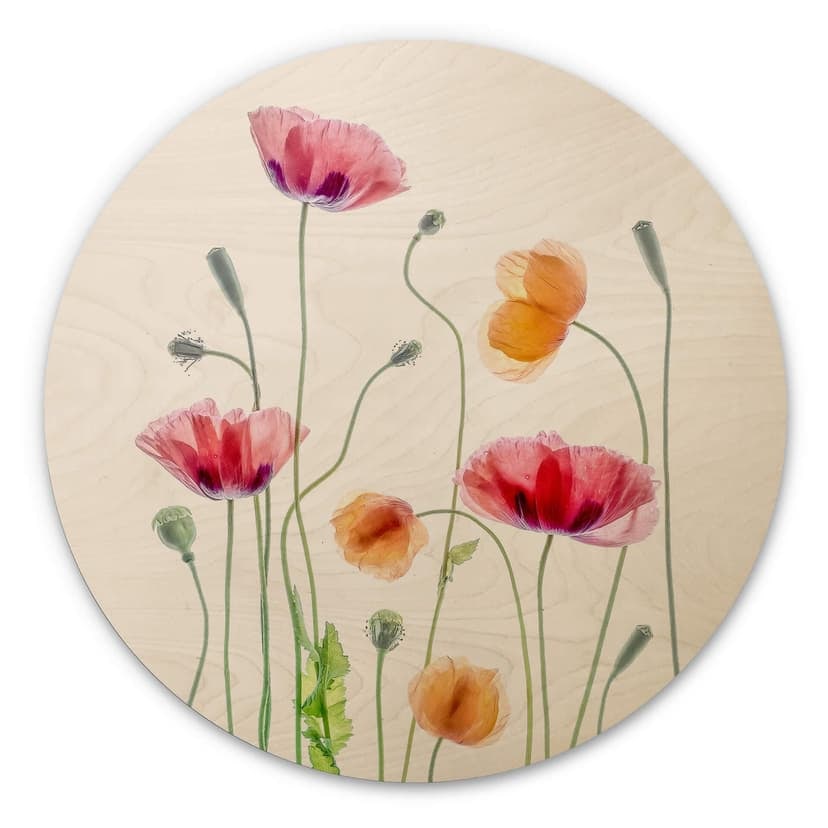 Stampa su legno Disher - Colourful Poppies