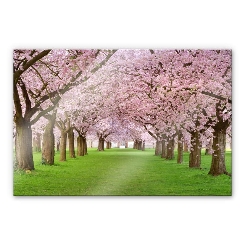 Stampa su vetro acrilico Primavera
