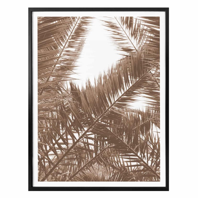 Poster - Palme