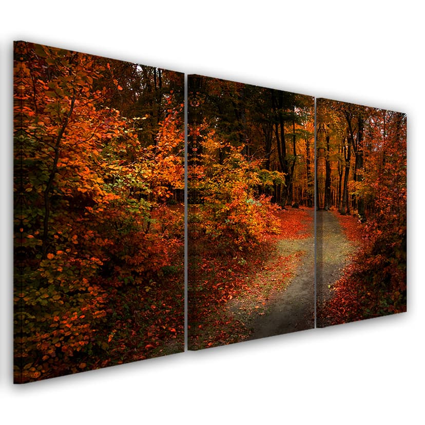 Stampa su tela 3 pezzi Foresta Foglie d'autunno Natura