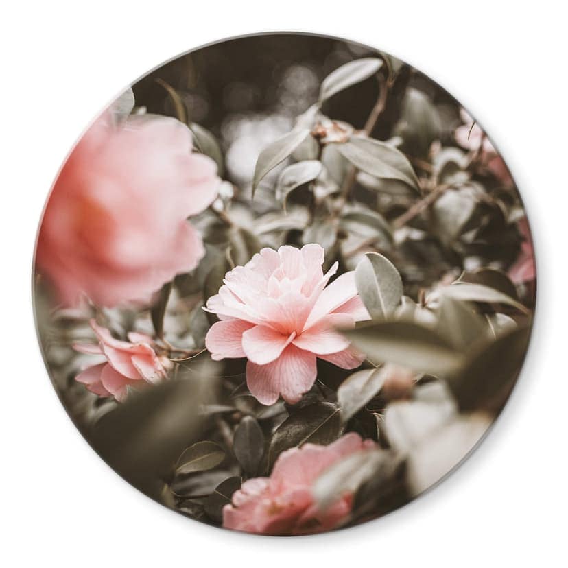 Stampa su vetro Annie - Rose - tondo
