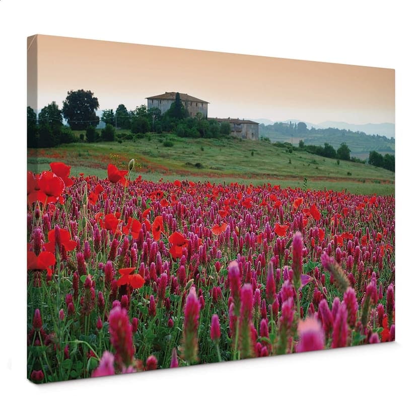 Stampa su tela - Prato in fiore in Toscana
