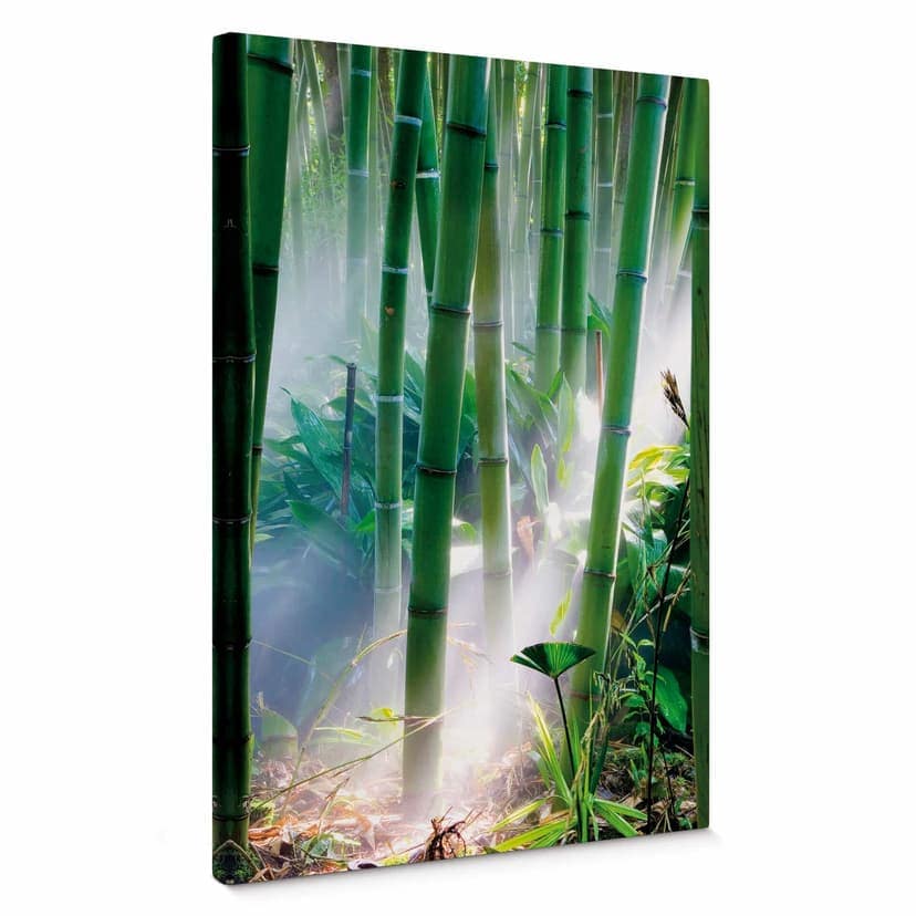 Stampa su tela - Foresta di bambù