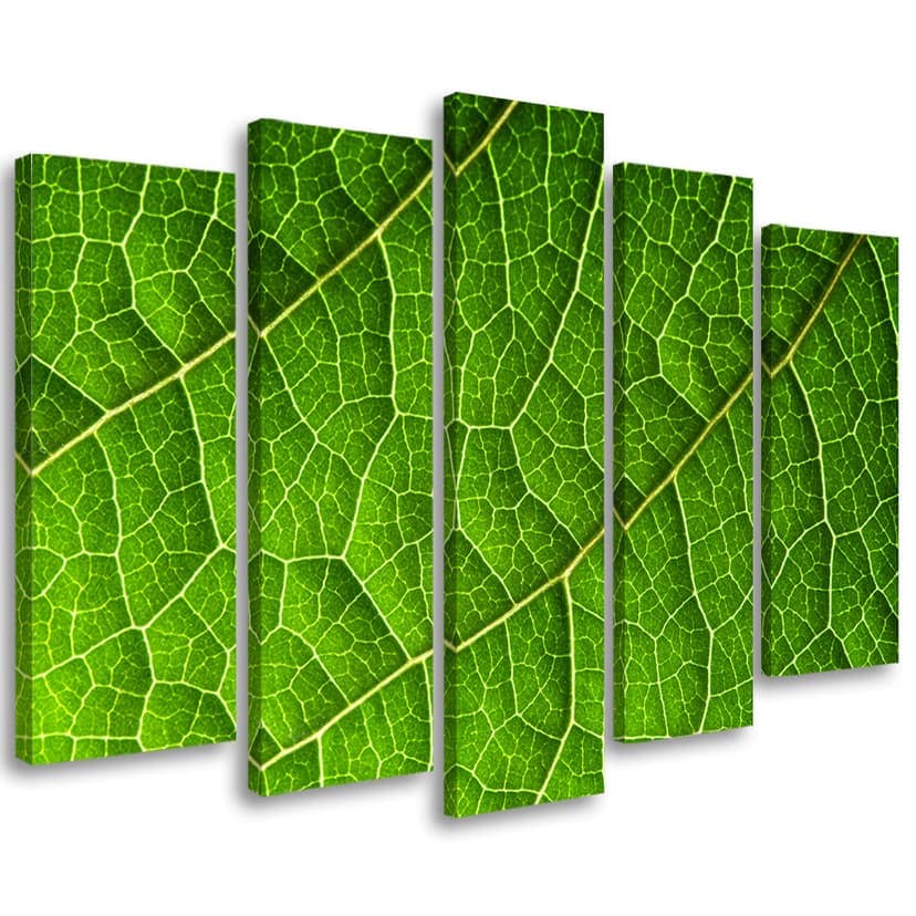 Stampa su tela 5 pezzi, foglie verdi natura