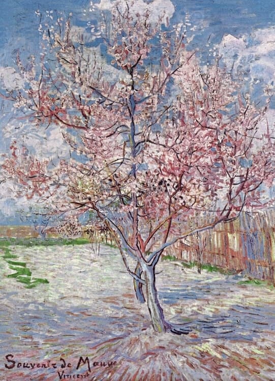 Poster Souvenir de Mauve - Pesco rosa in fiore, 1888 Stampa d'arte, Vincent van Gogh (24 x 30 cm)