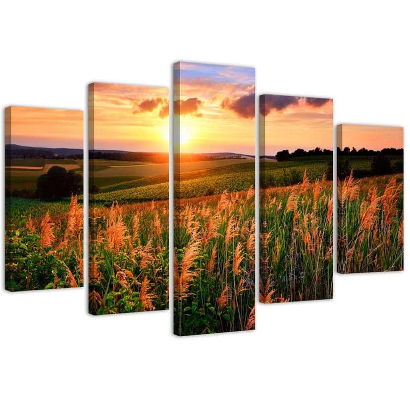 Stampa su tela 5 pezzi, prato fiorito al tramonto