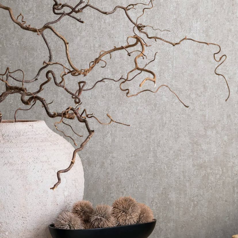 Carta da parati in tessuto non tessuto con texture opaca e leggera grigio cemento