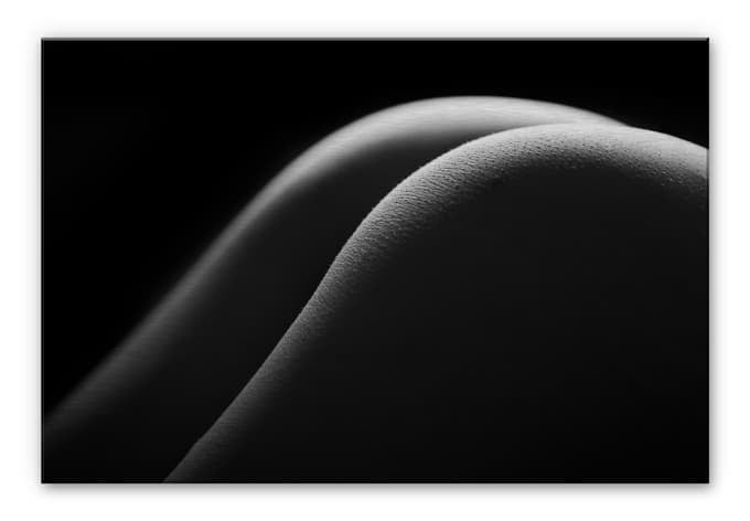 Stampa su Alu-Dibond - Curve sexy