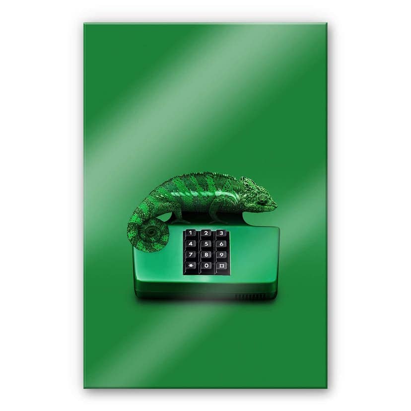 Stampa su vetro acrilico Loose - Chamelephone