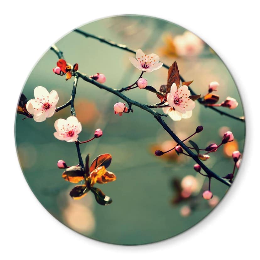 Il risveglio della primavera - tondo
