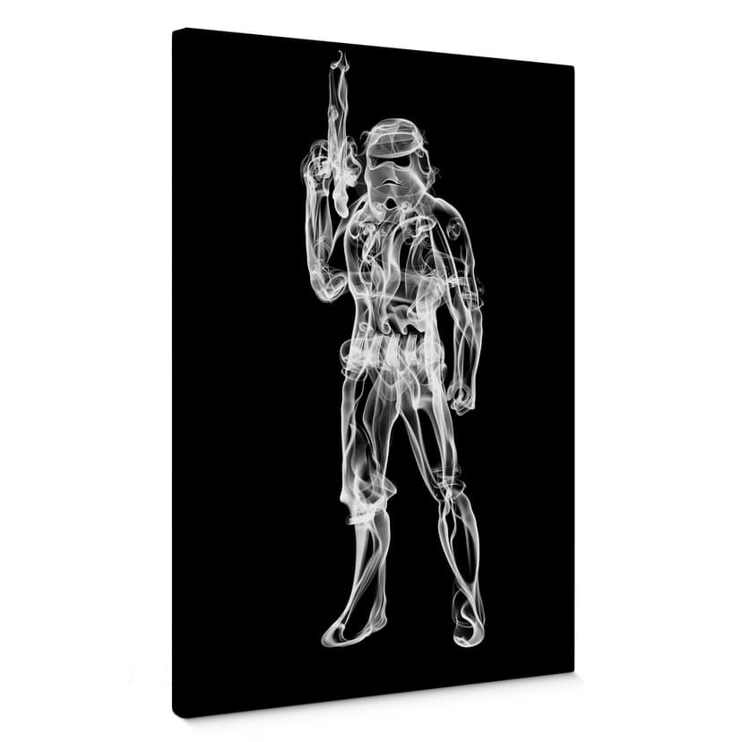 Stampa su tela Mielu - Stormtrooper