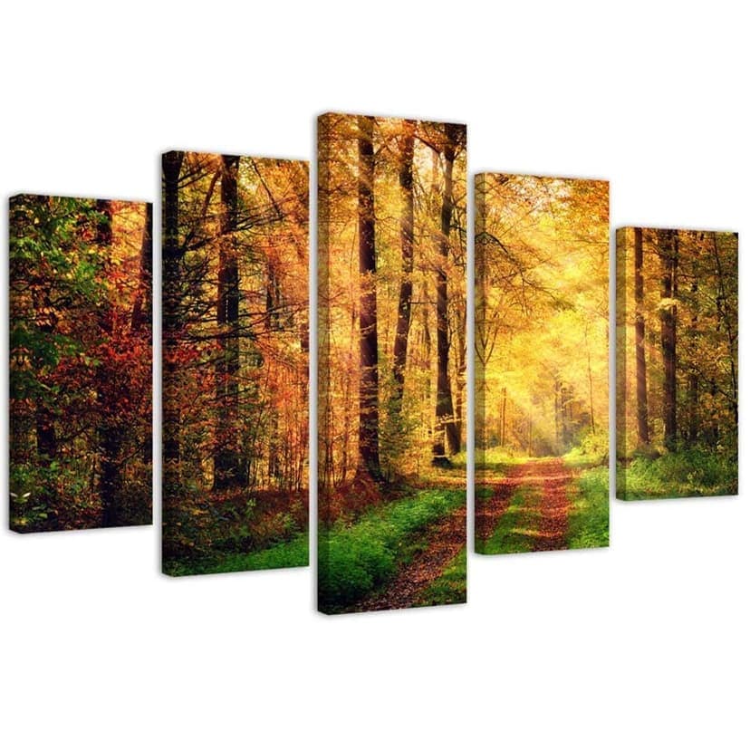 Stampa su tela 5 pezzi Foresta d'autunno