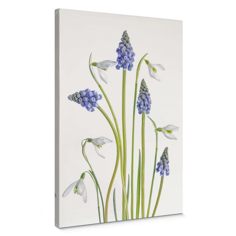 Stampa su tela Disher - Primavera