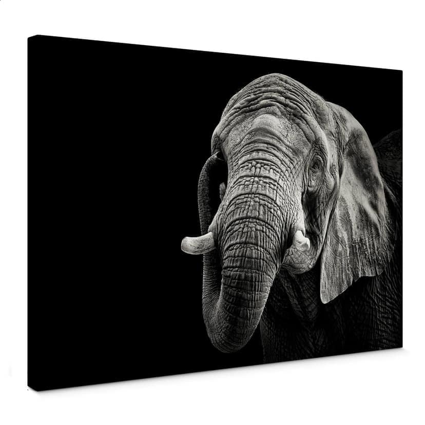 Stampa su tela Meermann - Elefante