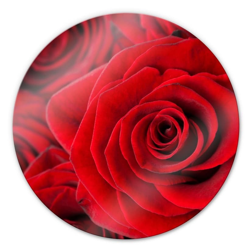 Stampa su vetro - Rose - tondo