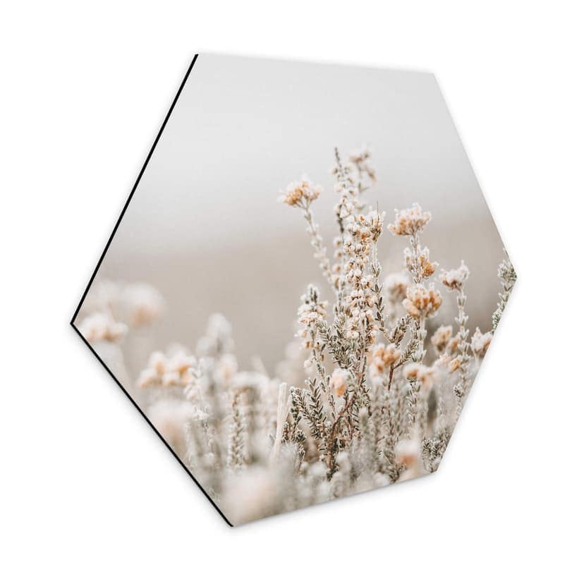 Esagoni Alu-Dibond Annie - Fiori di ghiaccio