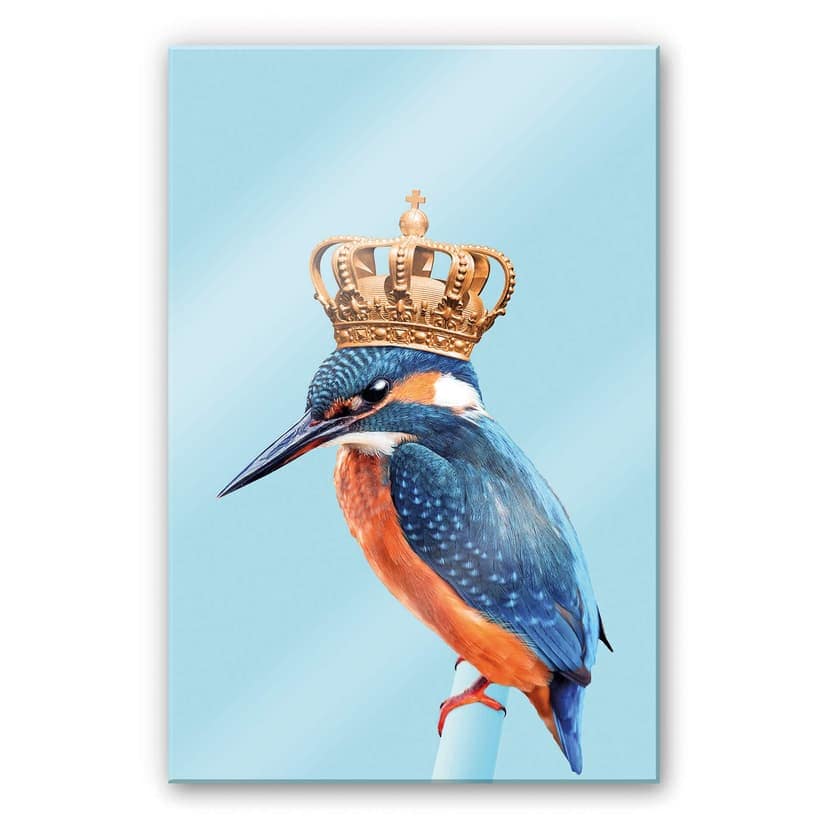 Stampa su vetro acrilico Loose - Kingfisher