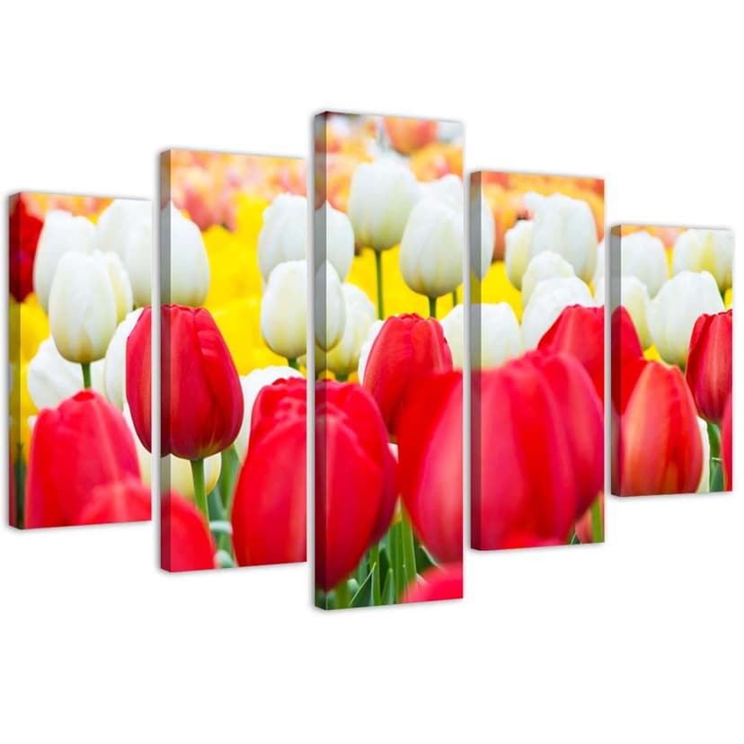 Stampa su tela 5 pezzi Tulipano rosso bianco
