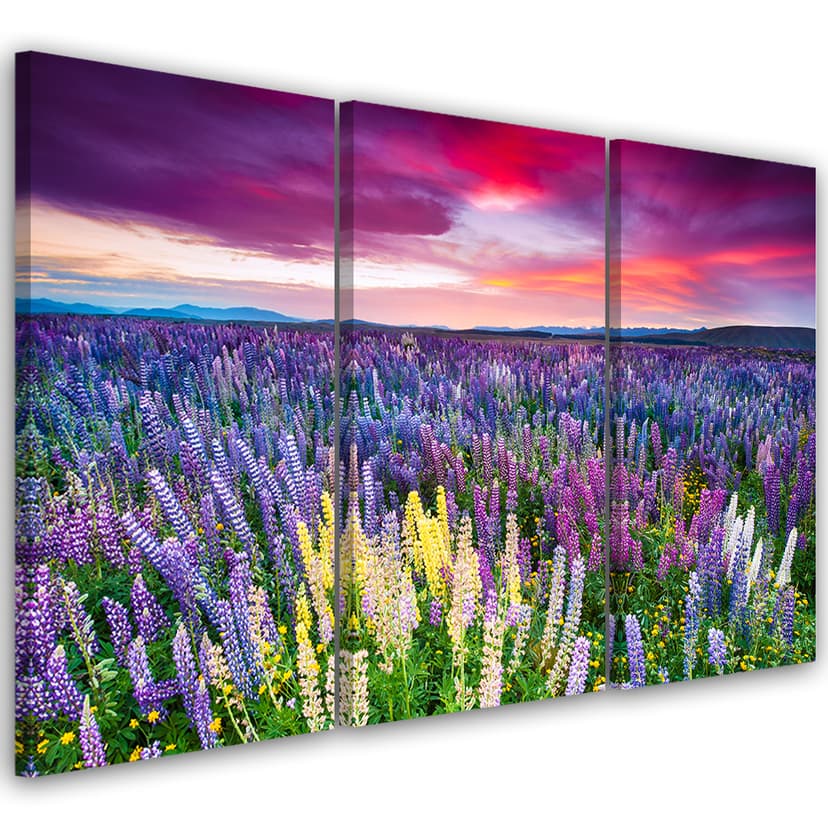 Stampa su tela 3 pezzi, paesaggio di lavanda prato fiorito