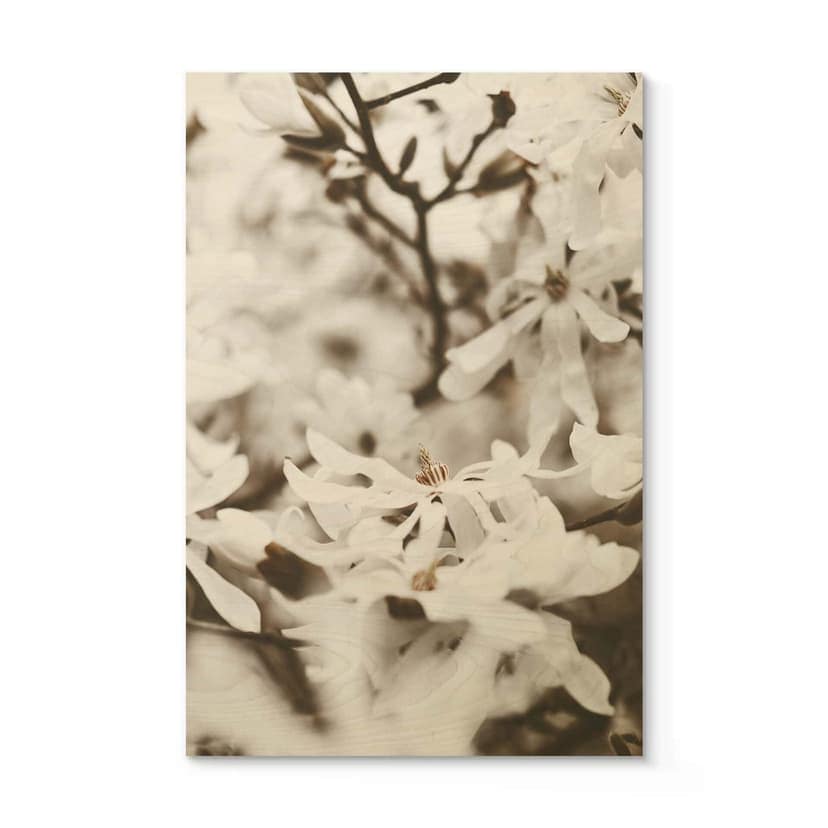 Stampa su legno Annie - Jasmin