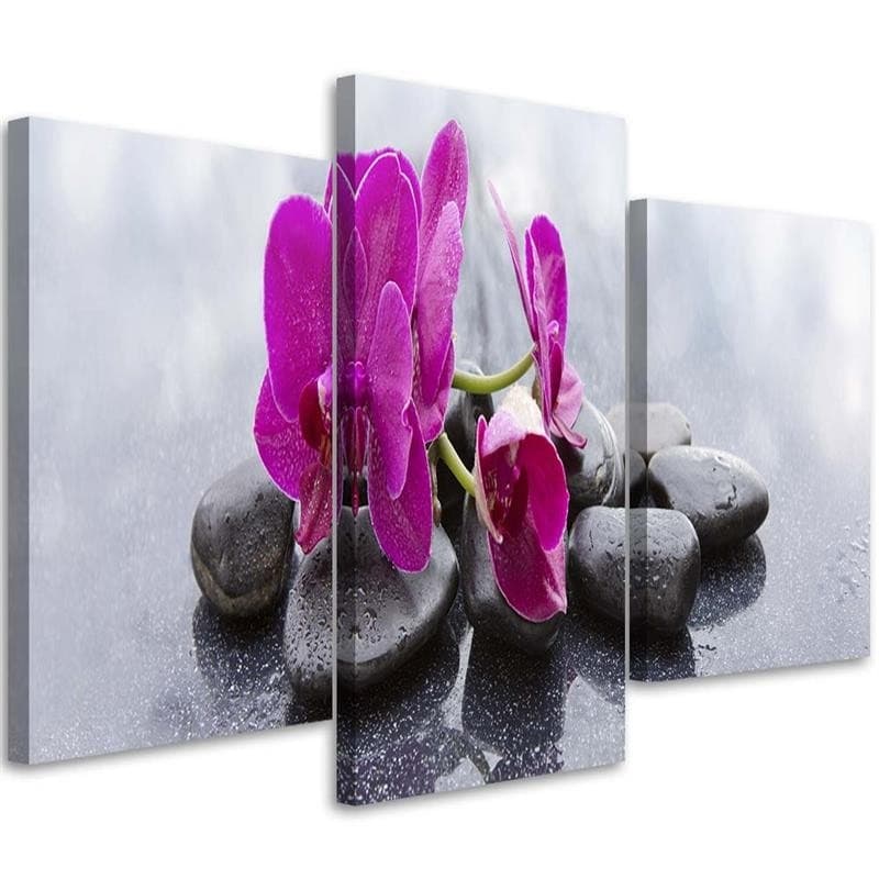 Stampa su tela 3 pezzi, fiori di orchidea pietre viola