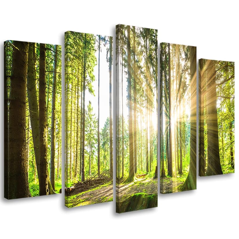 Stampa su tela 5 pezzi, alberi della foresta natura