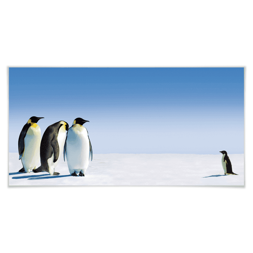 Poster - Pinguini