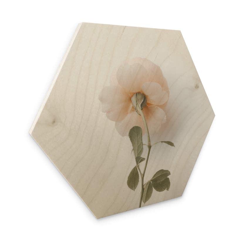 Esagoni in legno Annie - Rosa