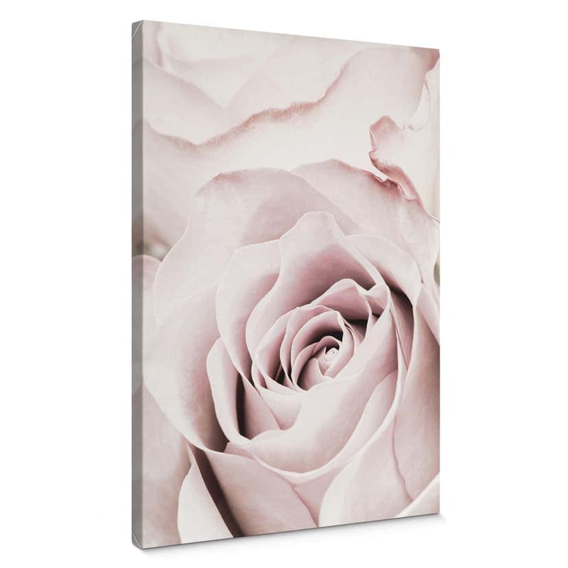 Stampa su tela 1X Studio - Rosa