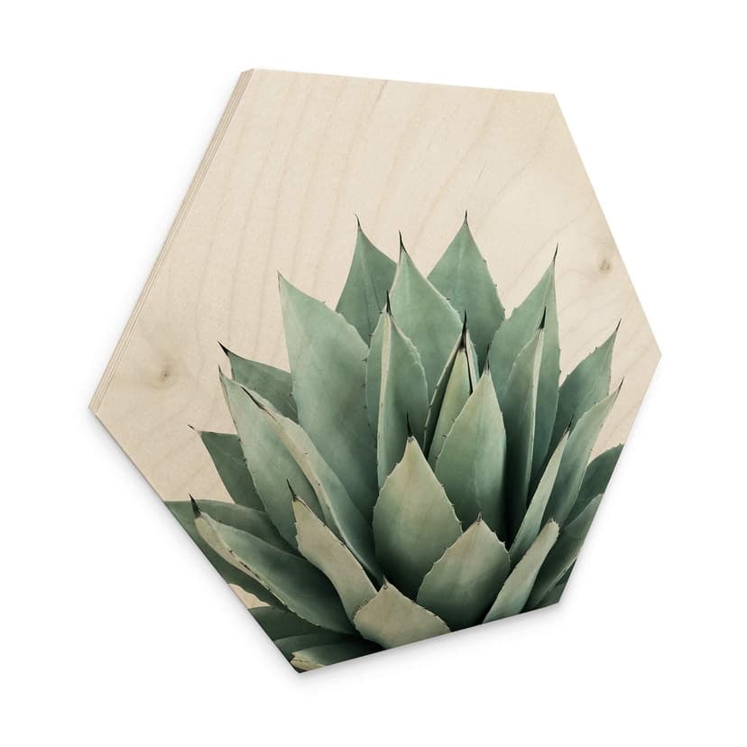 Esagono in legno Sisi & Seb - Succulent
