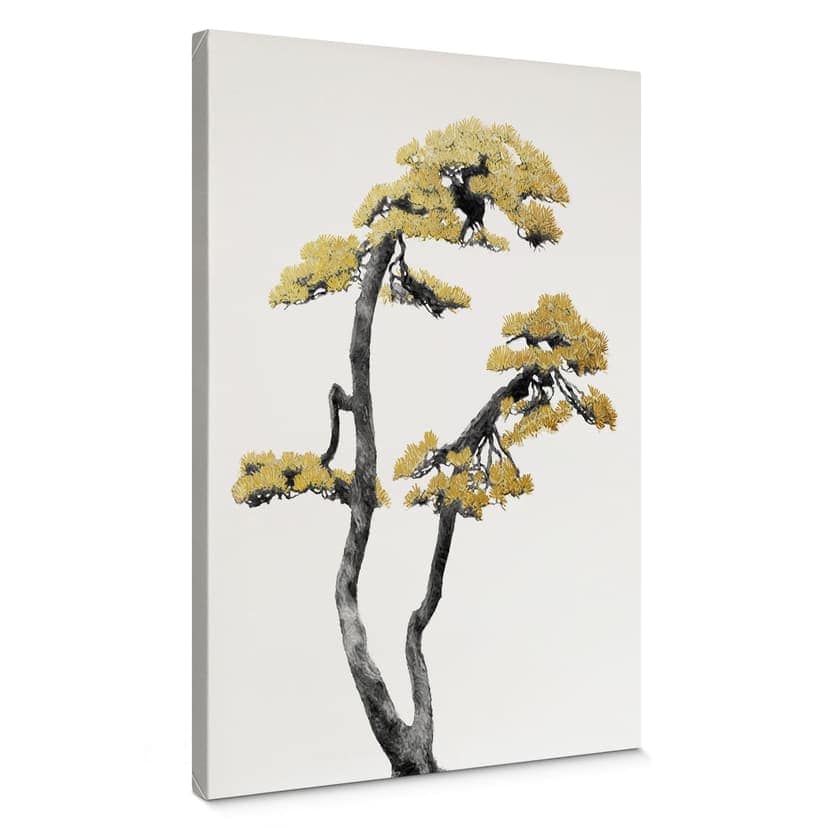 Stampa su tela Amini - Bonsai