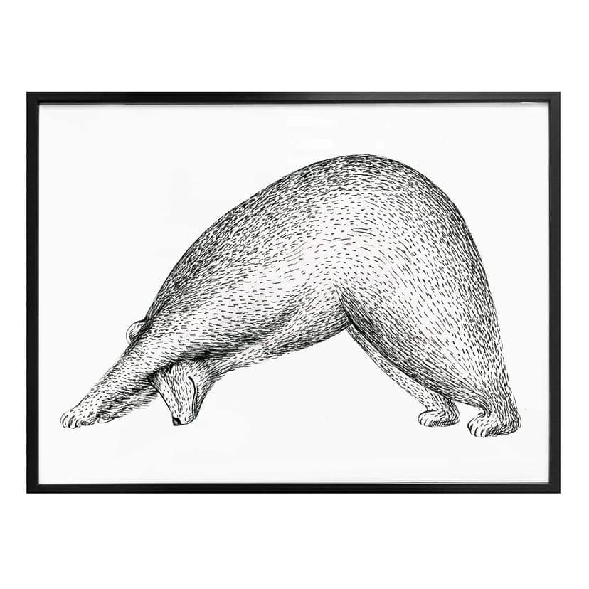 Poster Kvilis - Orso Yoga 01