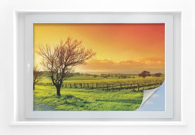 Pellicola adesiva per vetri - paesaggio con vigneti