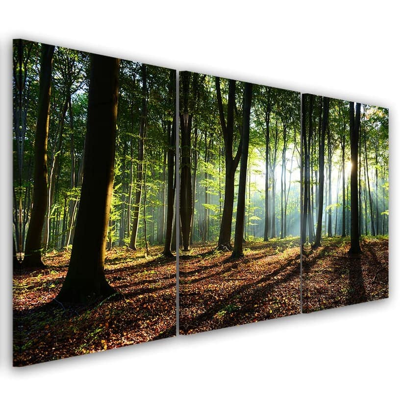 Stampa su tela in 3 pezzi, natura verde foresta