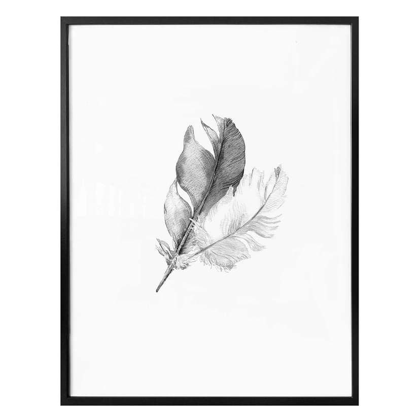 Poster - Piume