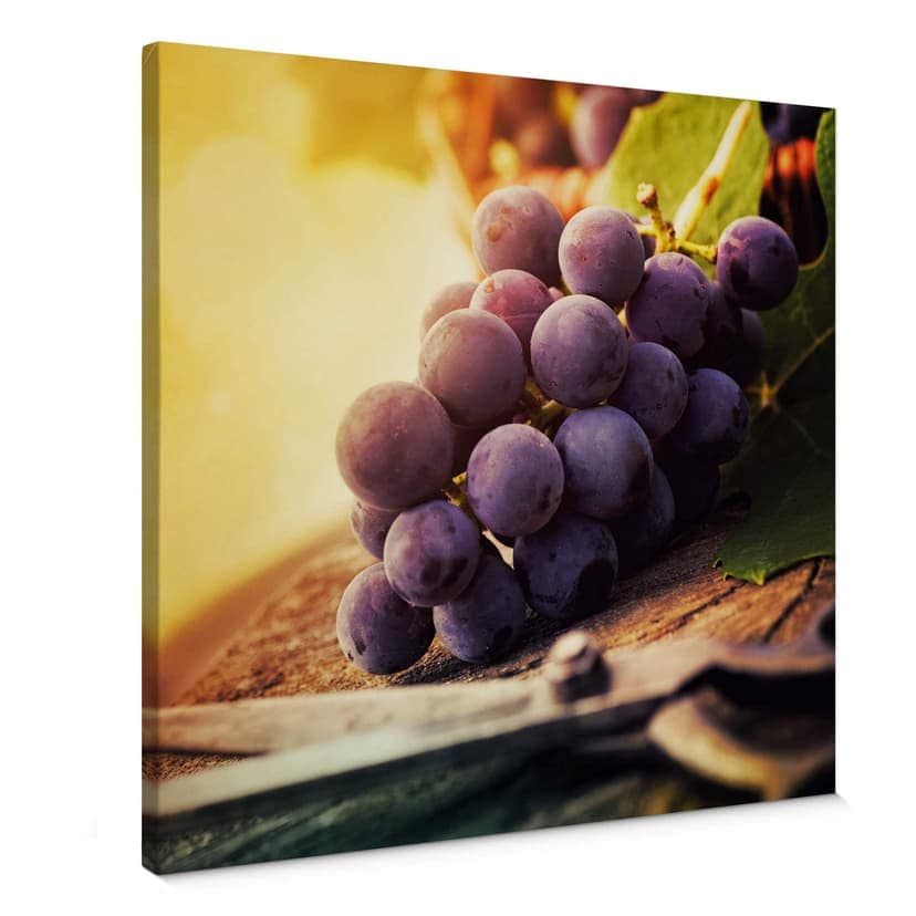 Stampa su tela - Vendemmia