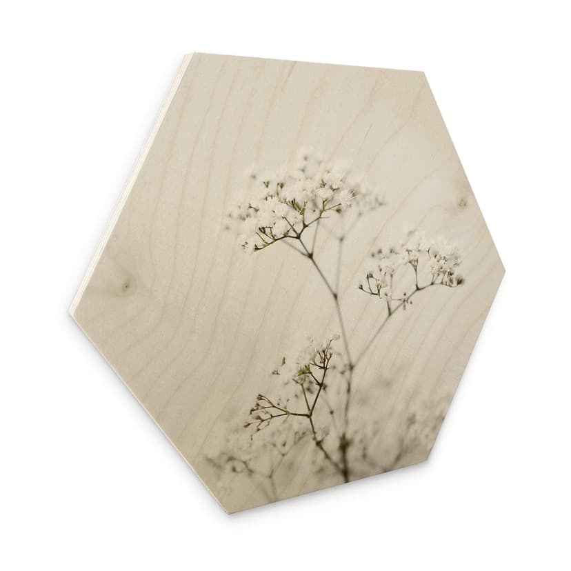 Esagoni in legno Annie - Cerfoglio