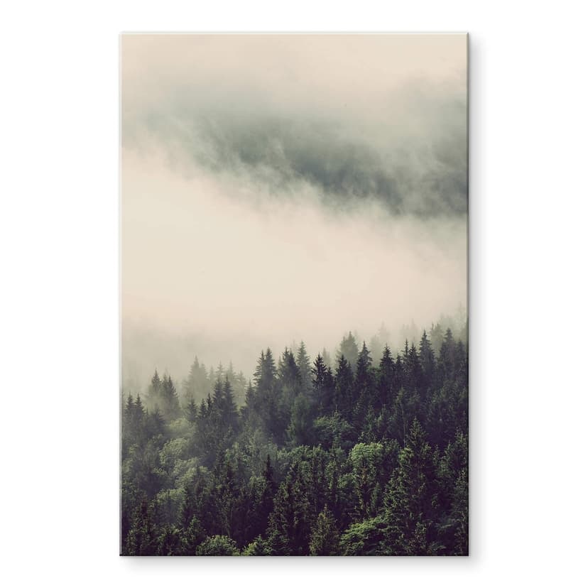 Stampa su vetro acrilico Nebbia nella foresta