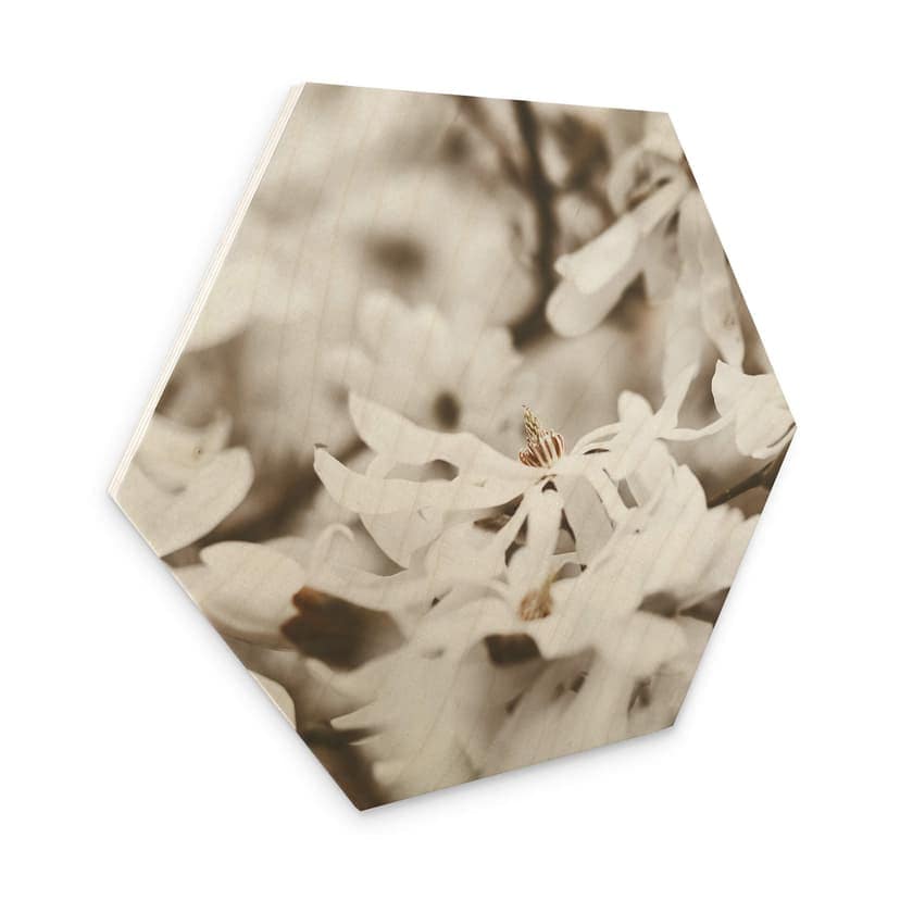 Esagoni in legno Annie - Jasmin