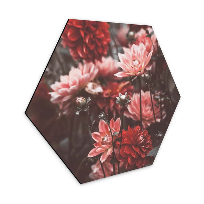 Esagoni Alu-Dibond Annie - Fiori estivi