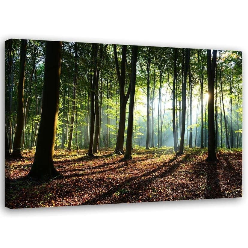Stampe su tela, Foresta all'alba