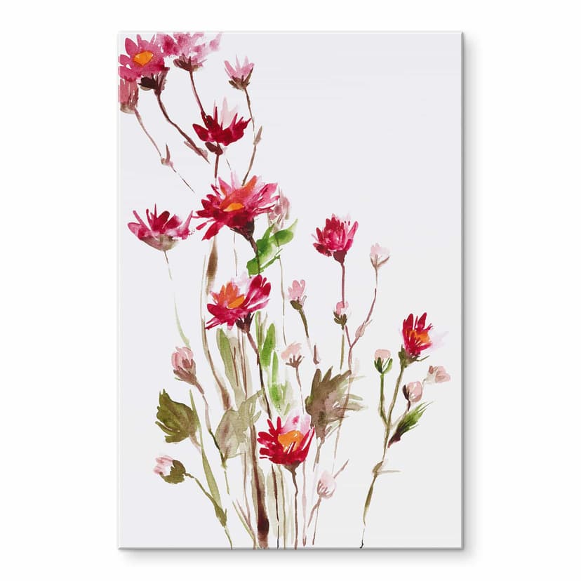 Stampa su vetro acrilico Illustrato fiori di campo