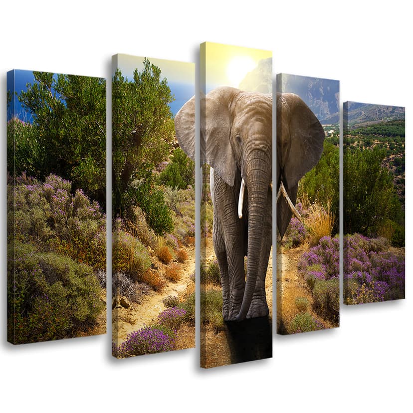 Stampa su tela 5 pezzi, elefante Safari Africa natura