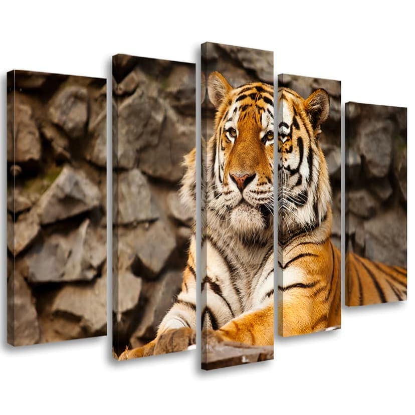 Stampa su tela 5 pezzi, animali della tigre dell'Africa