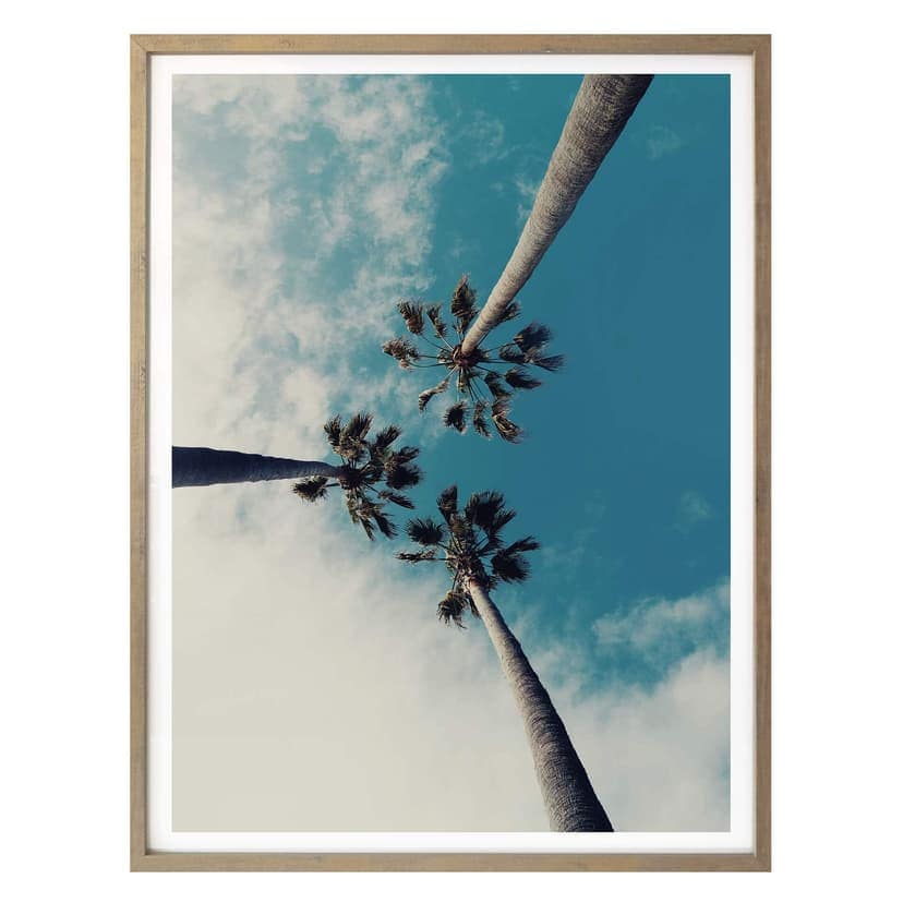 Poster - Palme 03